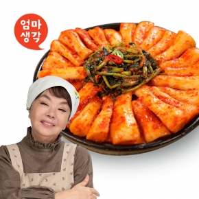 김수미 엄마생각 총각김치 5kg