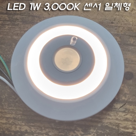 뷰텍 VFL-101 (노출형) 1W LED 전구색 센서등(욕실센서등,계단등으로 사용)