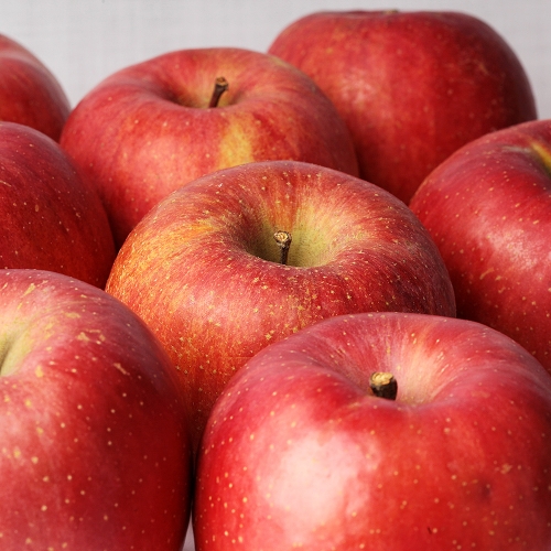 부사 사과 (5kg) 평균14.5브릭스 단맛좋고 신맛적은 국산품종 홍로사과